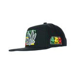 420 Leaf Embroidered Snapback Hat