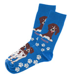 Pointer Socks