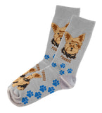 Yorkie Socks