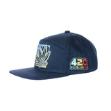 420 Leaf Embroidered Snapback Hat